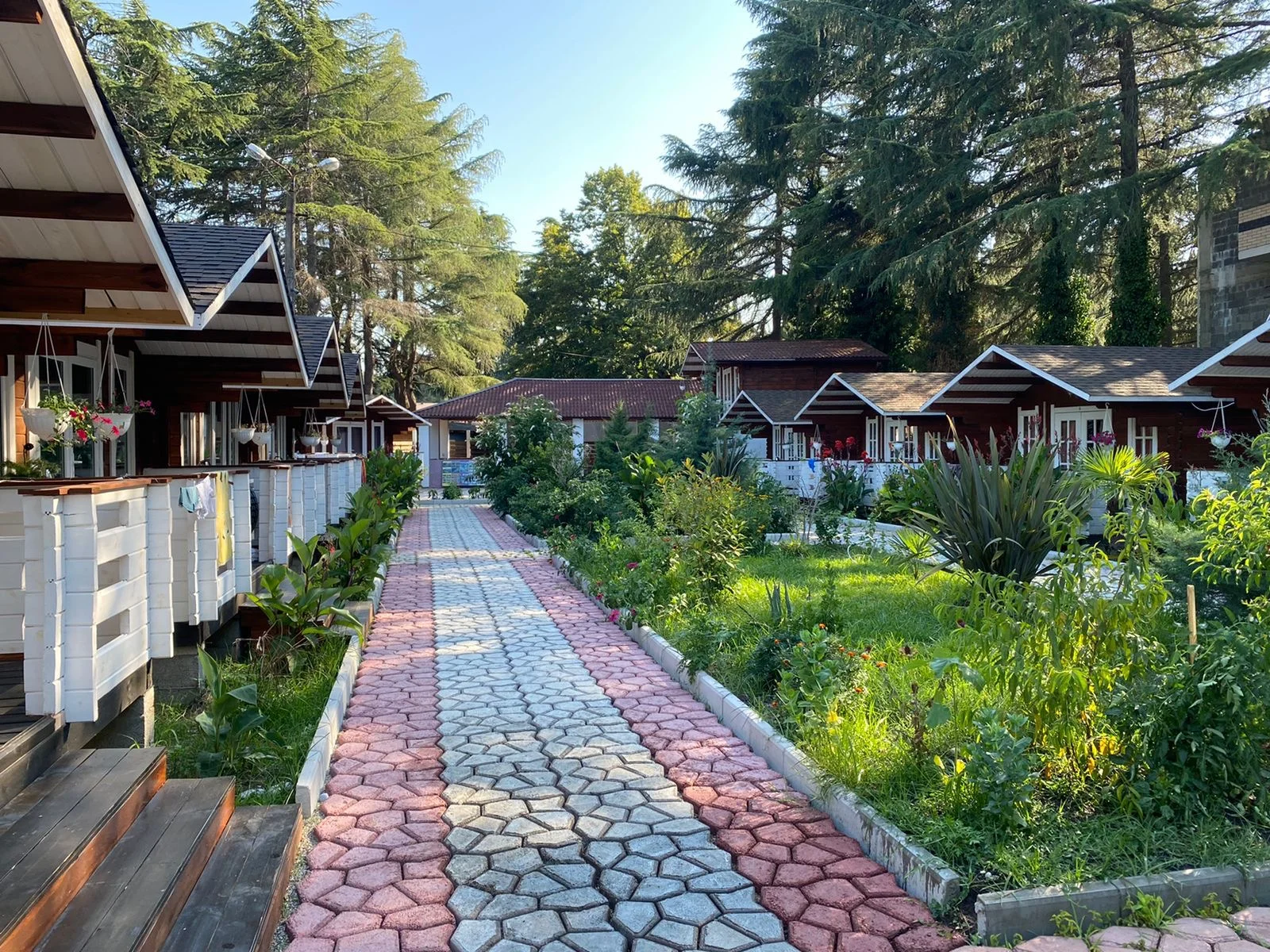 Домики в центре Пицунды ☀️ "Eco House Pitiunt" | Аура Тур