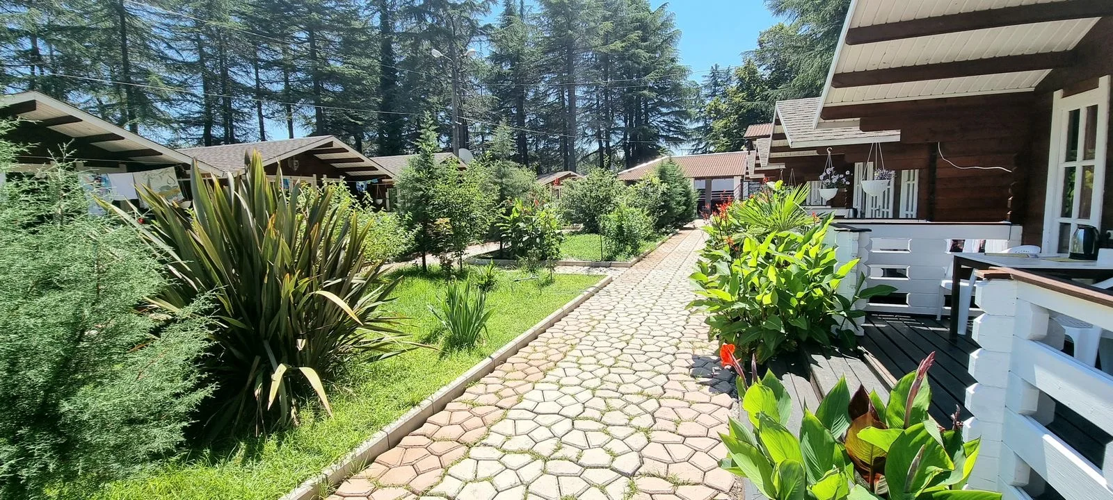 Домики в центре Пицунды ☀️ "Eco House Pitiunt" | Аура Тур