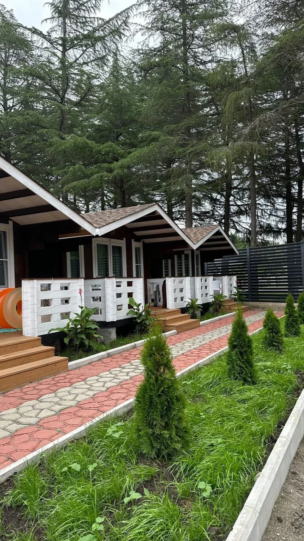 Домики в центре Пицунды ☀️ "Eco House Pitiunt" | Аура Тур
