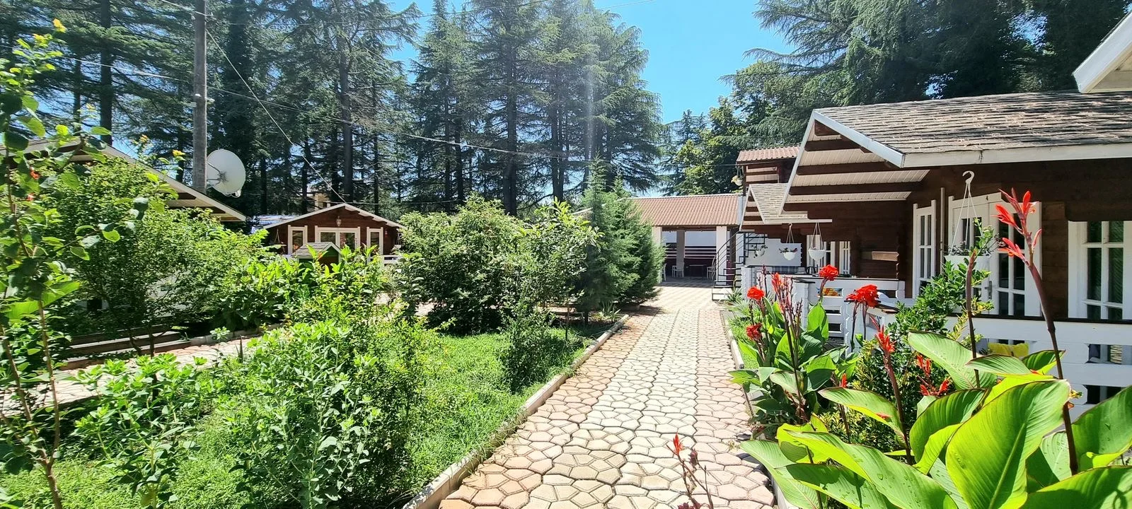 Домики в центре Пицунды ☀️ "Eco House Pitiunt" | Аура Тур