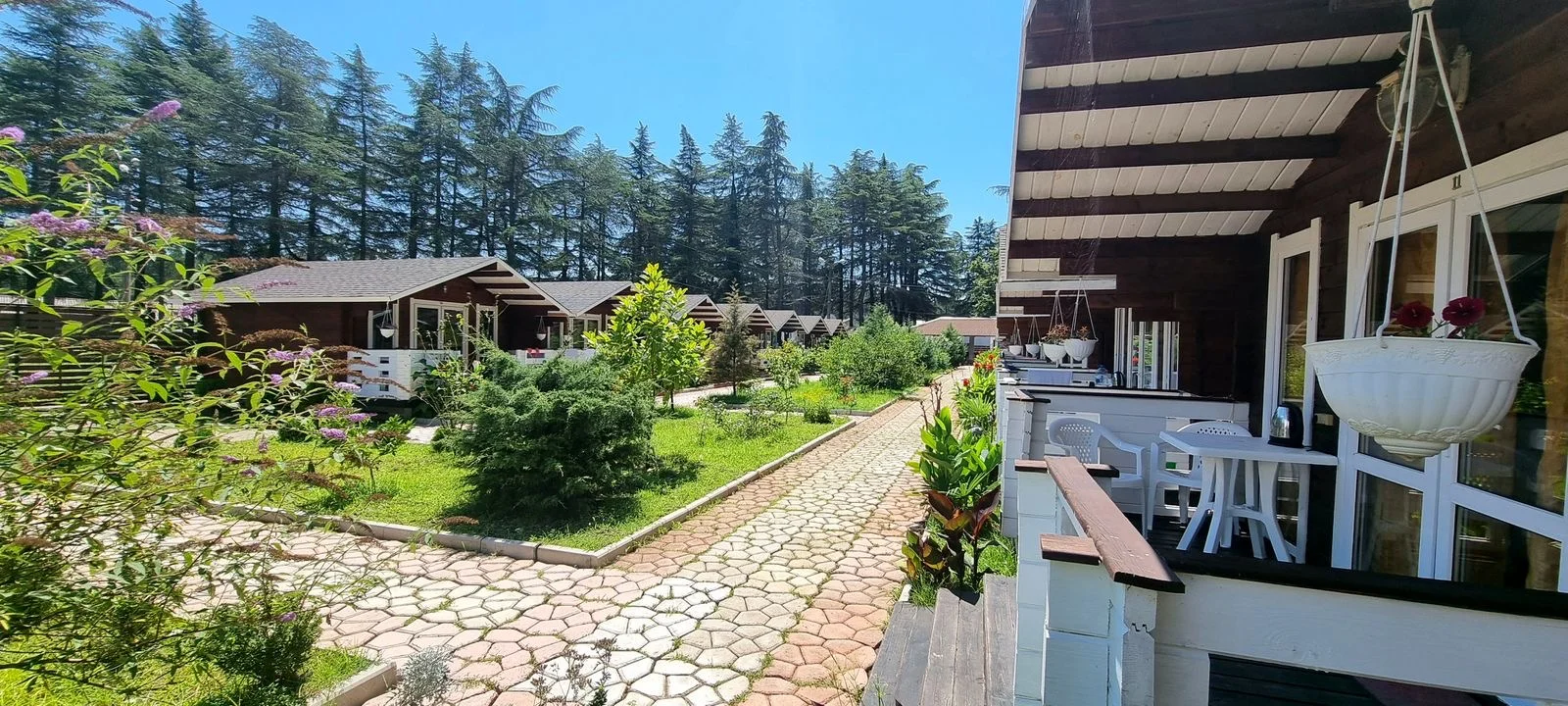 Домики в центре Пицунды ☀️ "Eco House Pitiunt" | Аура Тур