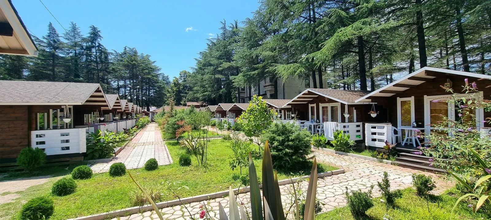 Домики в центре Пицунды ☀️ "Eco House Pitiunt" | Аура Тур