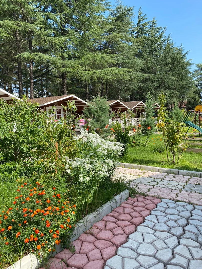 Домики в центре Пицунды ☀️ "Eco House Pitiunt" | Аура Тур