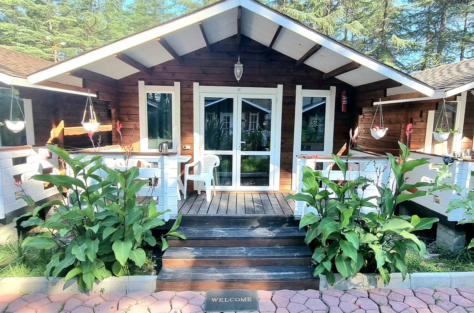 Домики в центре Пицунды ☀️ "Eco House Pitiunt" | Аура Тур