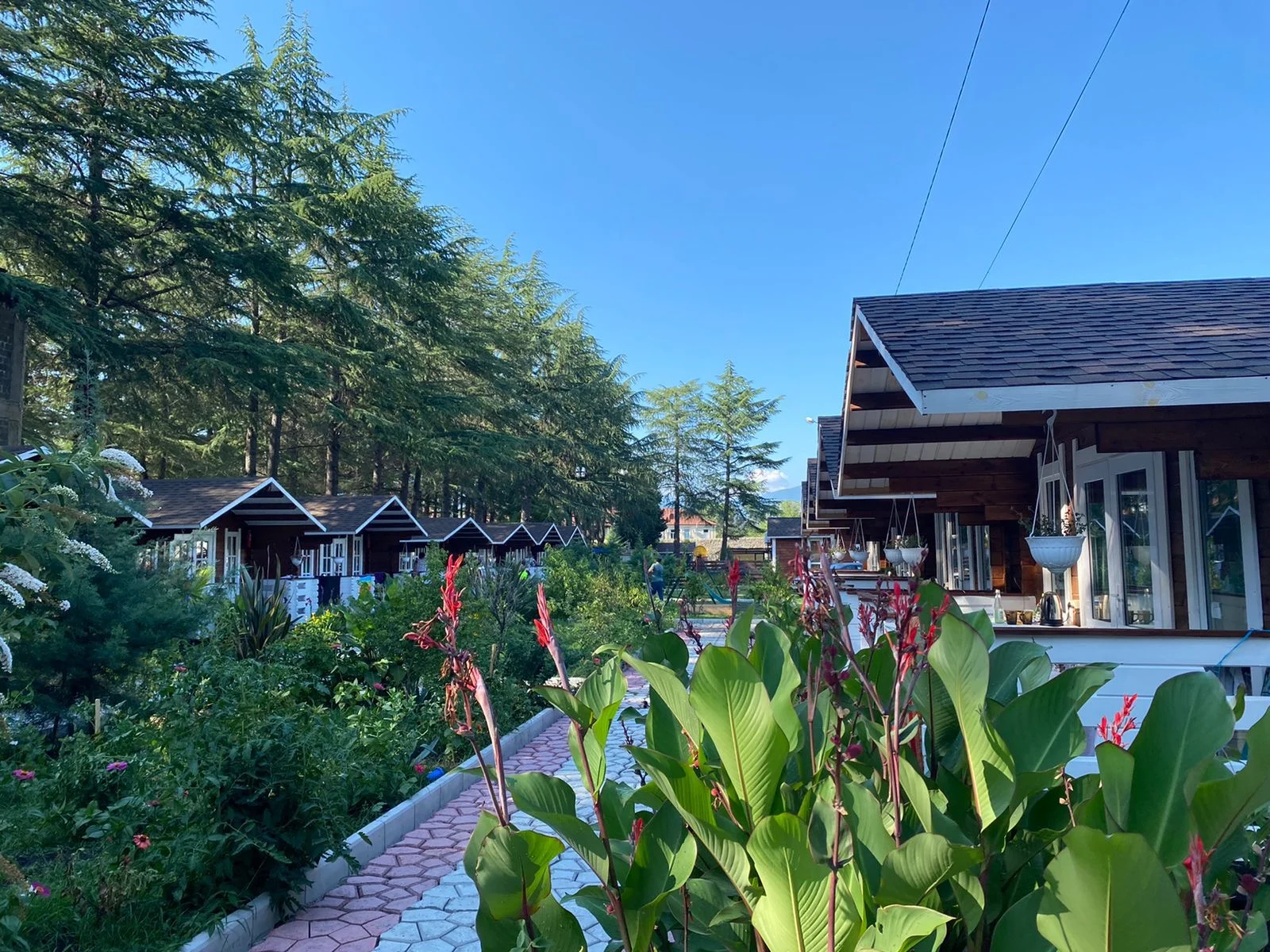 Домики в центре Пицунды ☀️ "Eco House Pitiunt" | Аура Тур