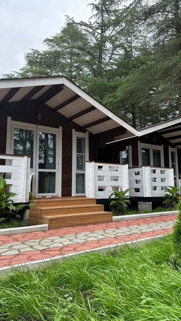 Домики в центре Пицунды ☀️ "Eco House Pitiunt" | Аура Тур