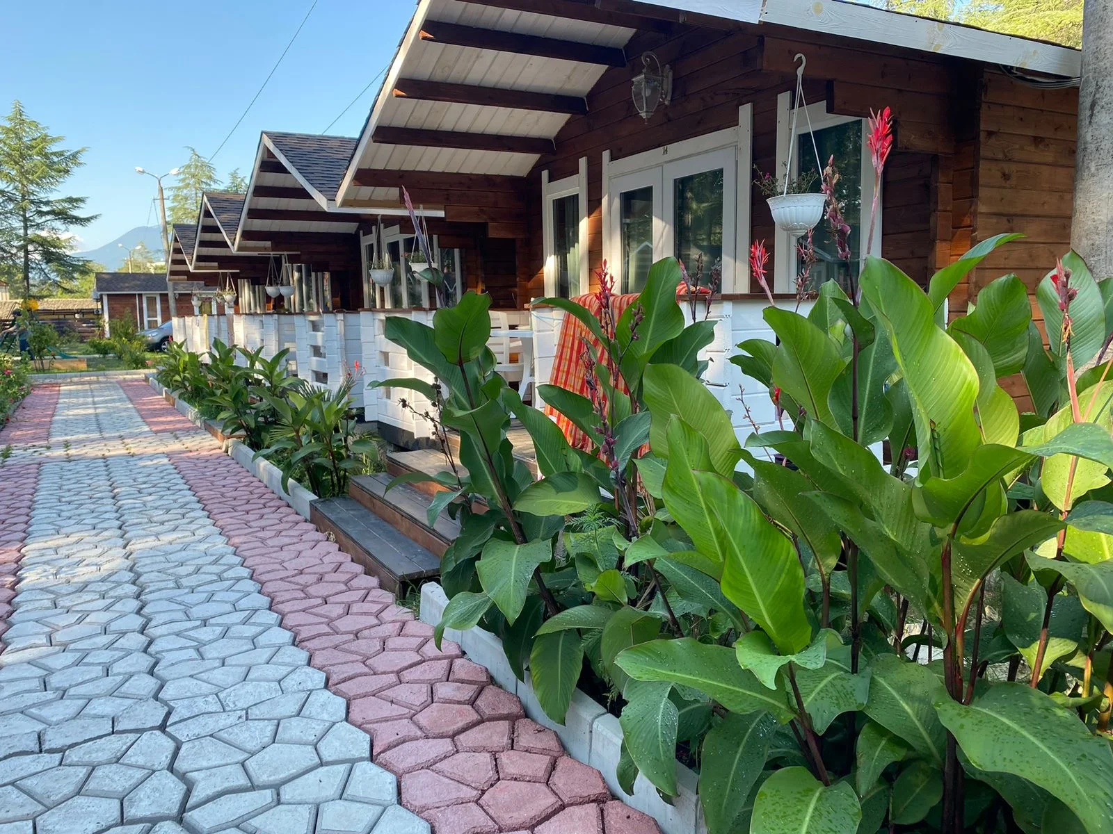 Домики в центре Пицунды ☀️ "Eco House Pitiunt" | Аура Тур